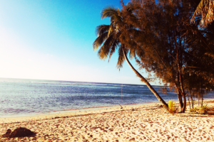 Cook Islands Beach - Rarotongan