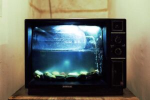 TV with fish tank in it