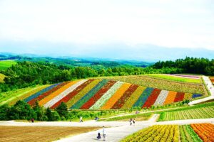 Fields in Hokkaido, Japan, the place where Hokkaido Ainu language is spoken